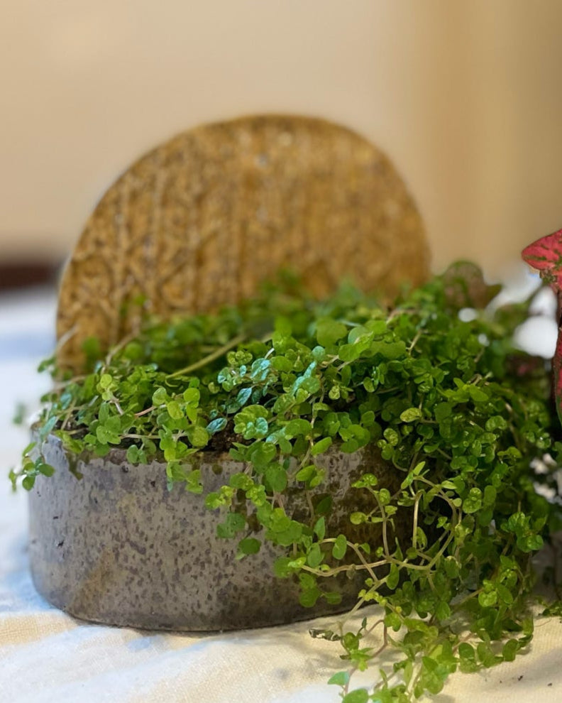 Wall Hanging Planter Sconce 101