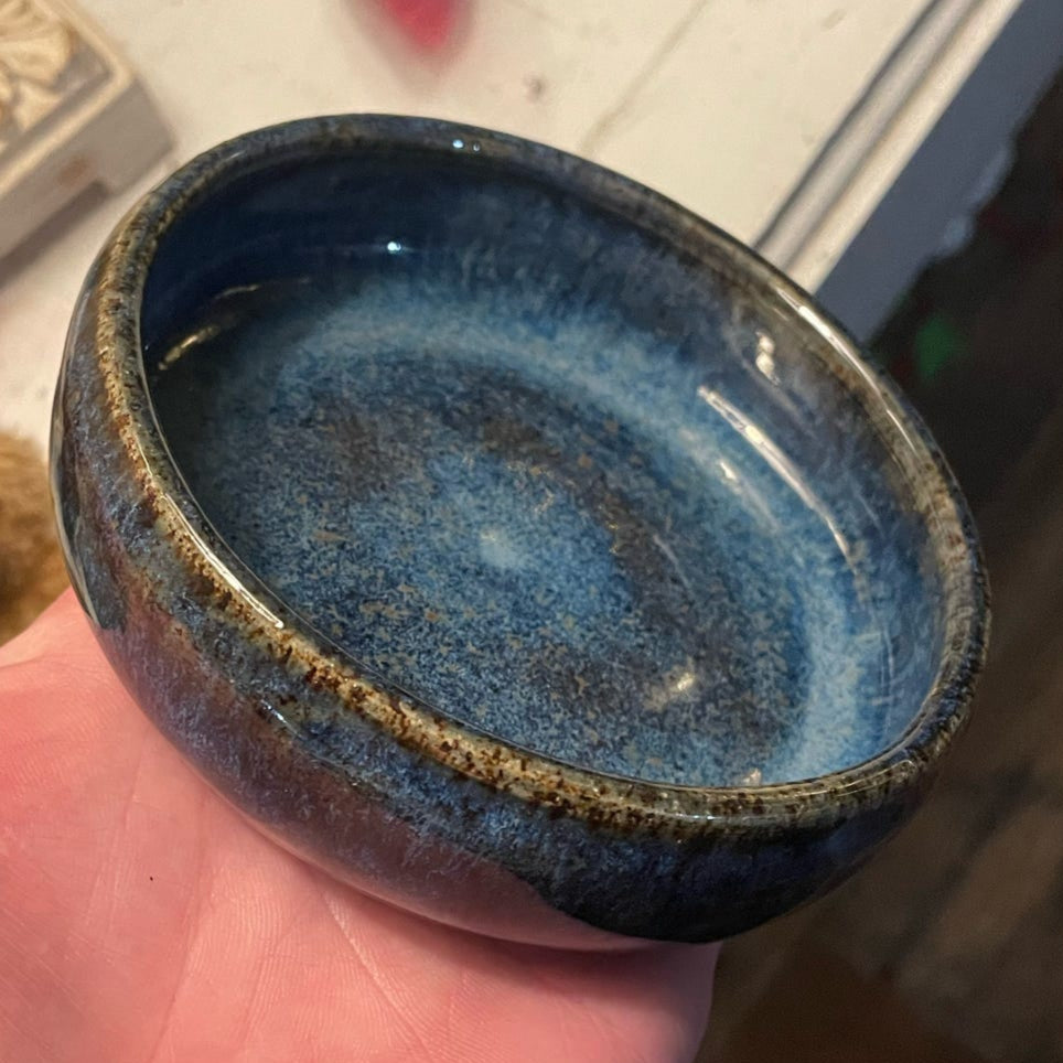 Odds "n" Ends Dish 100